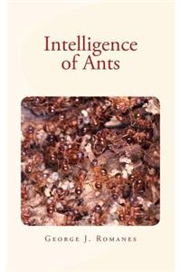 Intelligence of Ants