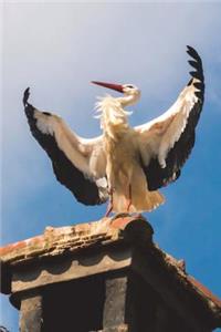 White Stork with Open Wings Journal