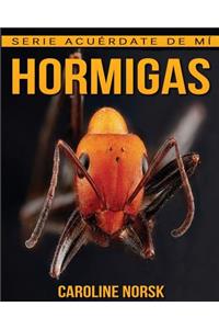 Hormigas