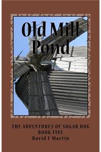Old Mill Pond