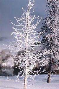 Journal Snow Covered Tree