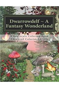 Dwarrowdelf a Fantasy Wonderland
