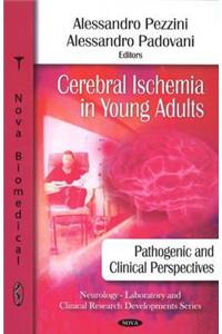 Cerebral Ischemia in Young Adults