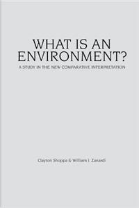 What Is an Environment?