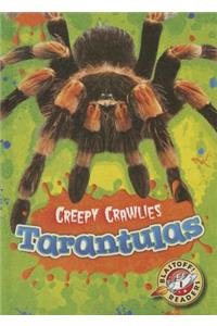 Tarantulas