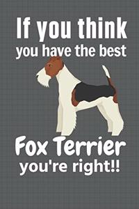 If you think you have the best Fox Terrier you're right!!