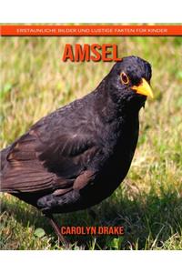 Amsel