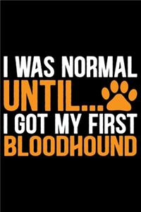 I Was Normal Until I Got My First Bloodhound