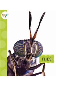 Flies