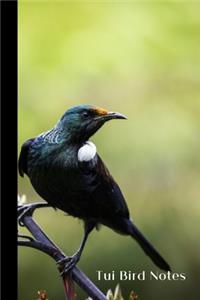 Tui Bird Notes