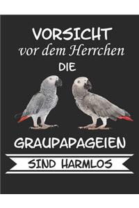 Vorsicht vor dem Herrchen die Graupapageien sind Harmlos