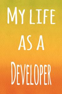 My Life as a Developer
