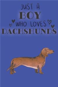 Just A Boy Who Loves Dachshunds