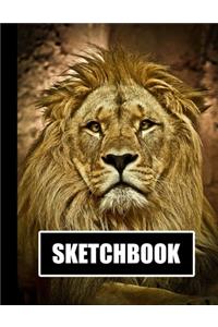Sketchbook