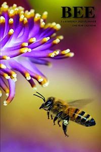 Bee 5 x 8 Weekly 2020 Planner
