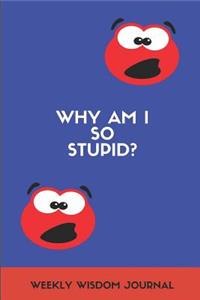 Why Am I So Stupid? Weekly Wisdom Journal