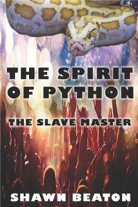 Spirit of Python