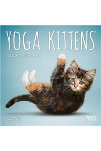 Yoga Kittens 2020 Mini Wall Calendar