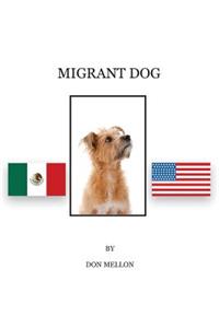 Migrant Dog
