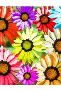 Gerber Daisy Journal