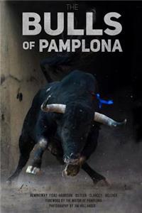 Bulls of Pamplona