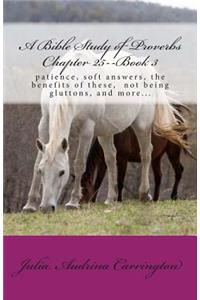 A Bible Study of Proverbs Chapter 25--Book 3