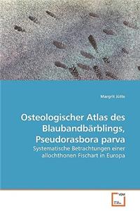 Osteologischer Atlas des Blaubandbärblings, Pseudorasbora parva