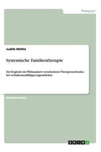 Systemische Familientherapie