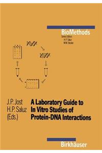 Laboratory Guide to in Vitro Studies of Protein-DNA Interactions