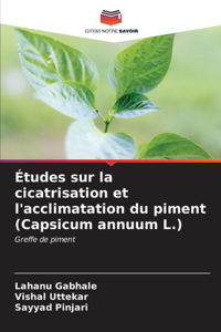 Études sur la cicatrisation et l'acclimatation du piment (Capsicum annuum L.)