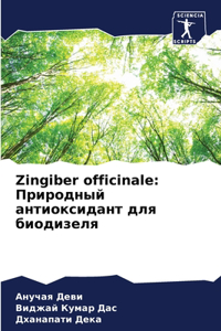 Zingiber officinale