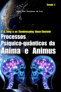 C. G. Jung e os Condensados Bose-Einstein