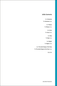 Julião Sarmento: Series Volume 3