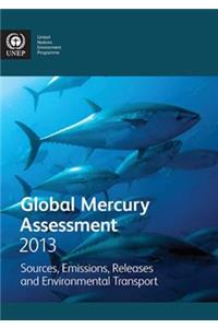 Global Mercury Assessment 2013