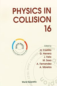 Physics in Collision: Proceedings of the XVI International Conference