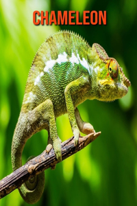 Chameleon