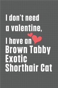 I don't need a valentine, I have a Brown Tabby Exotic Shorthair Cat