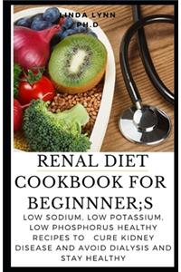 Renal Diet Cookbook for Beginner;s