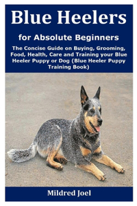 Blue Heelers for Absolute Beginners