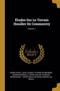 Études Sur Le Terrain Houiller De Commentry; Volume 1