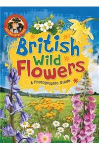 Nature Detective: British Wild Flowers