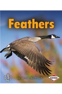 Feathers