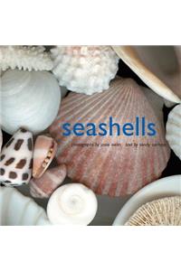 Seashells