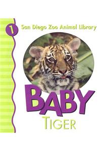 Baby Tiger