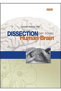 Dissection of the Human Brain