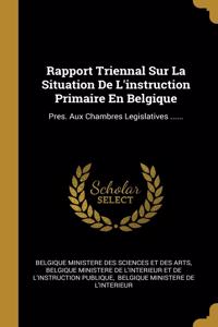 Rapport Triennal Sur La Situation De L'instruction Primaire En Belgique