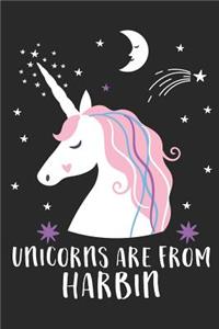Unicorns Are From Harbin