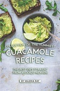 Collection of The Yummiest Guacamole Recipes