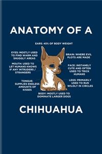 Anatomy Of A Chihuahua