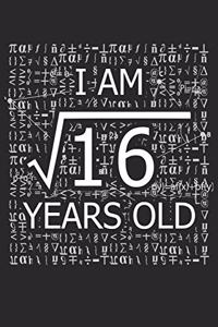 I Am 16 Years Old